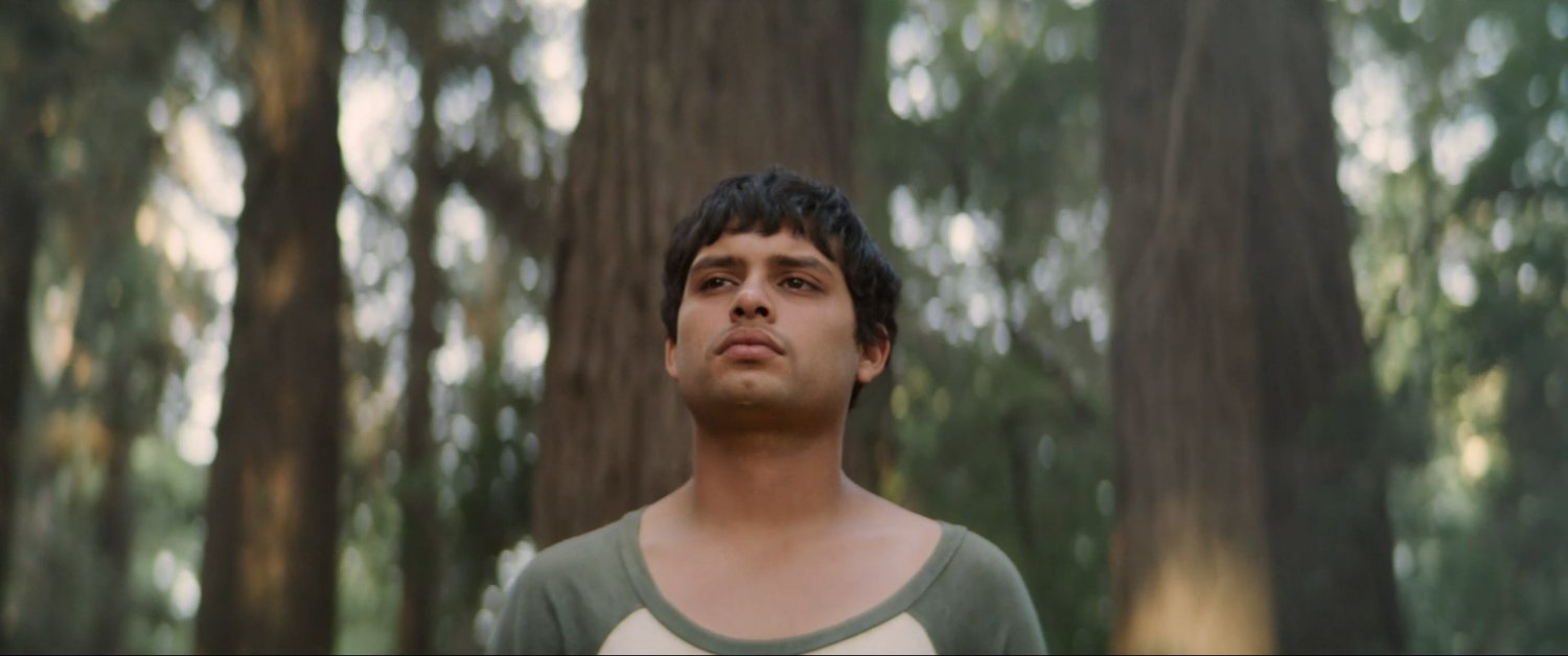 lanzaverdecine's profile banner image