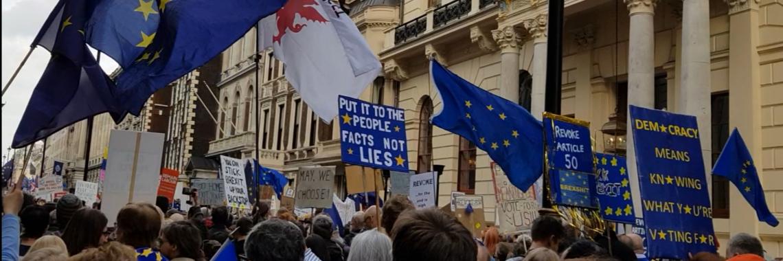 Ed Wilson 🇪🇺 banner