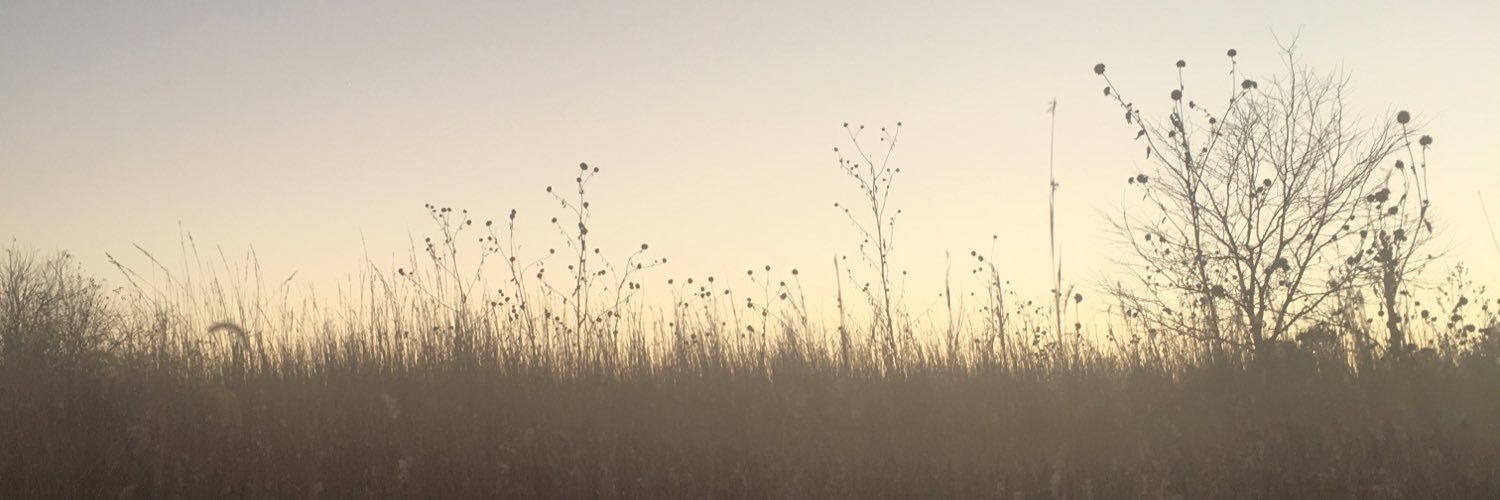 jesstaylor's profile banner image