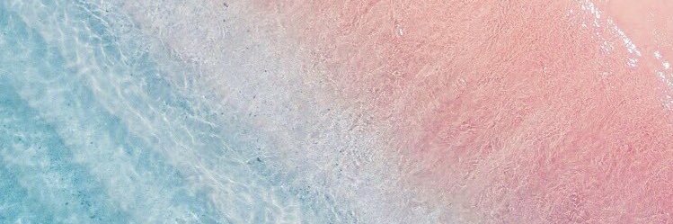 cyn_ted's profile banner image