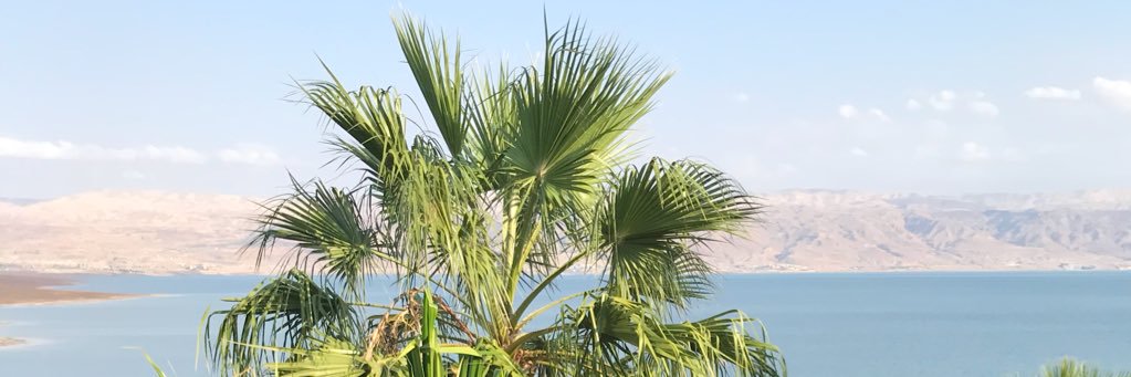 _bibianaa's profile banner image