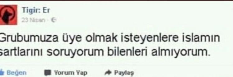 cimsit banner