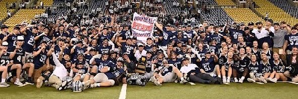 Adam Cook's banner
