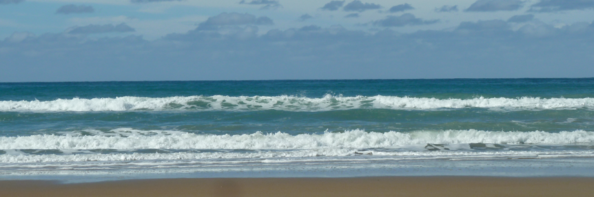 Dallas Knight banner