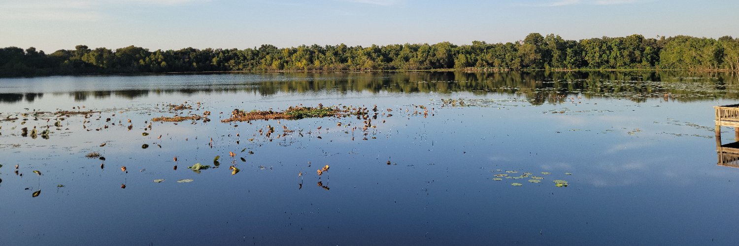 GracieBarra.algo banner