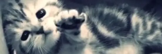 PanConFuet1's profile banner image