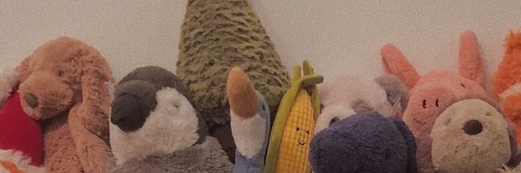 BELUCA banner