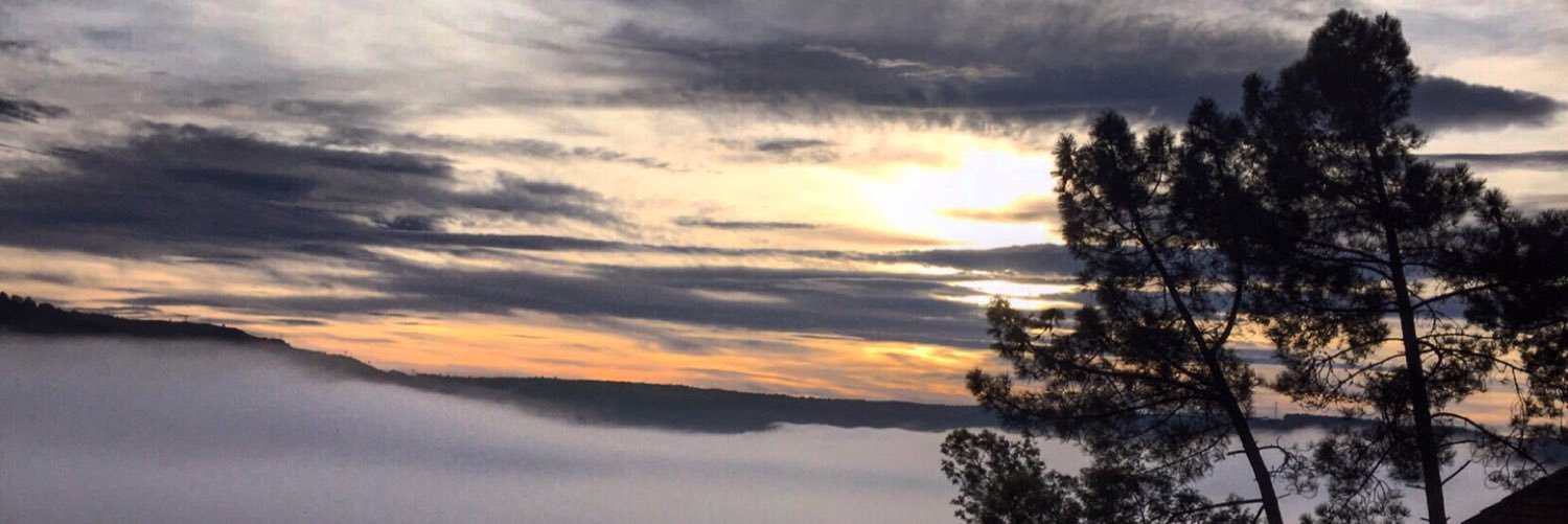 Alicia F. Conde banner