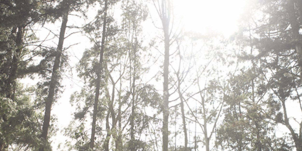 santivy's profile banner image
