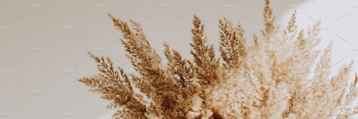 🌾 banner