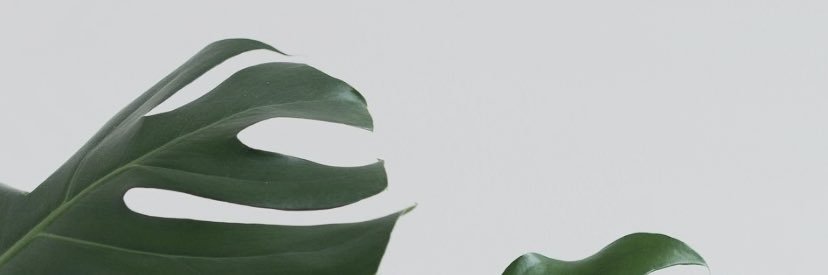 bydazh's profile banner image
