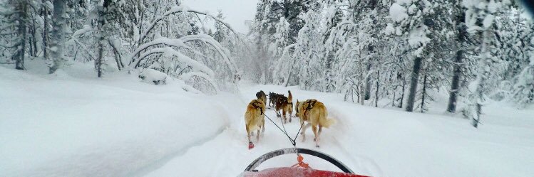 vanlerberghejor's profile banner image