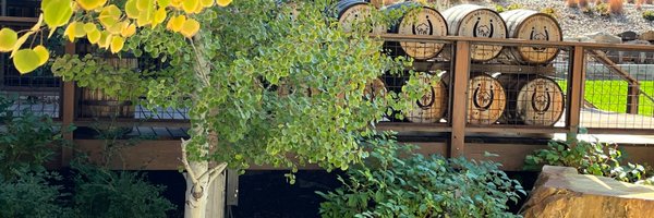 Aractor Profile Banner