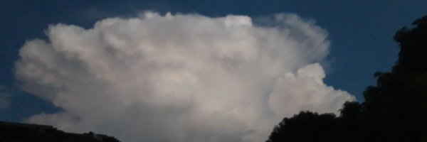 moonhunter08 Profile Banner