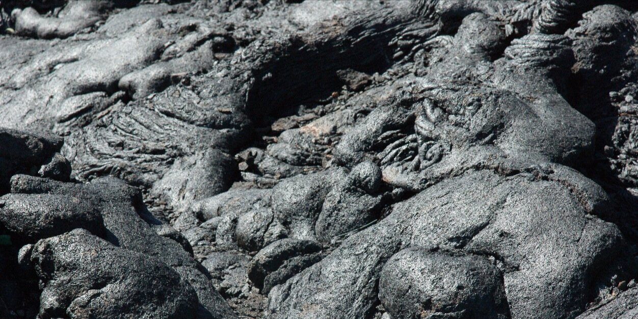 miriam meckel banner