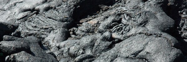 mmeckel Profile Banner