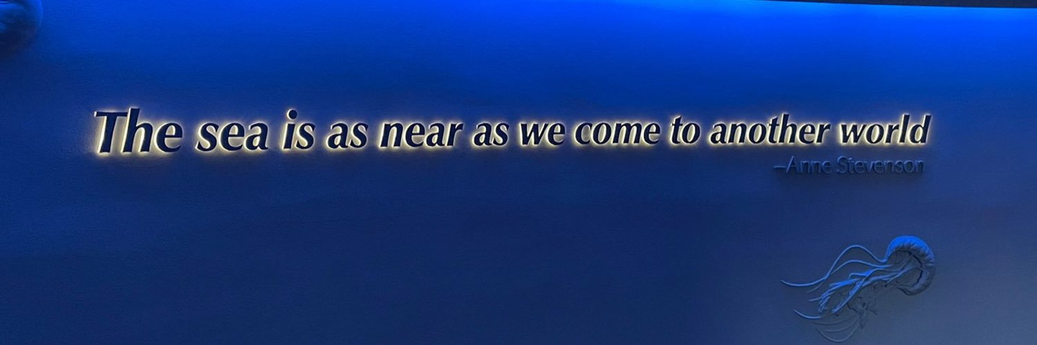 An 💛 banner