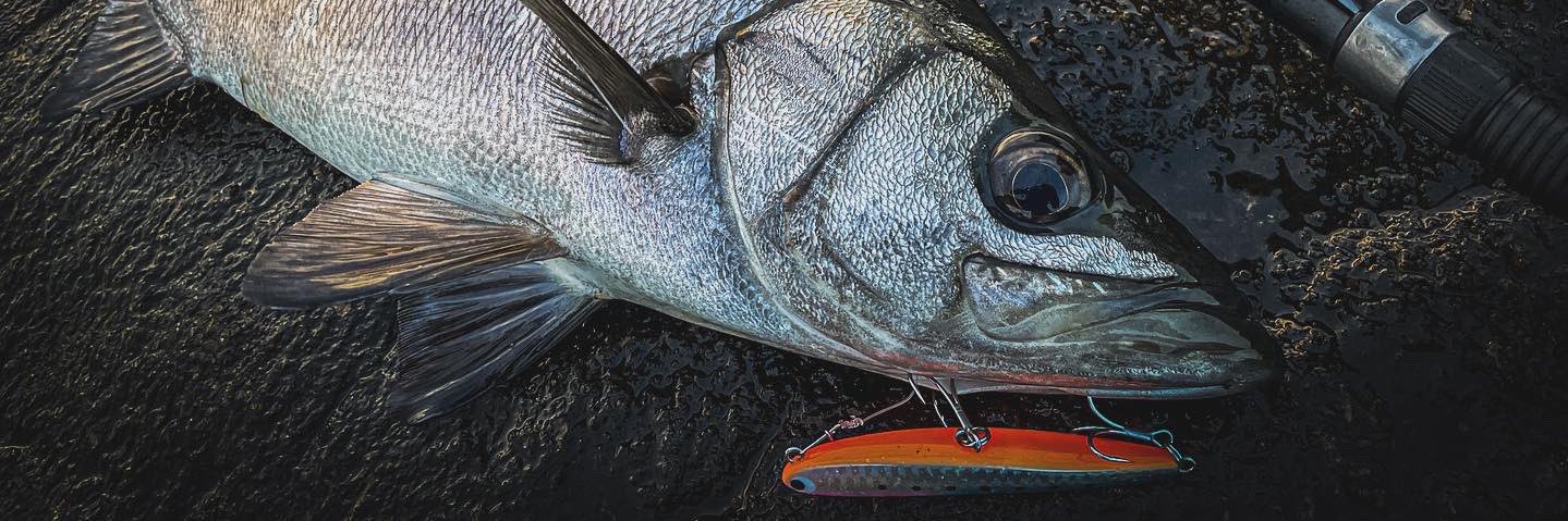 korosuke（成相 修） banner