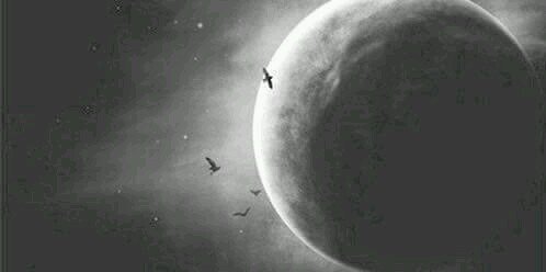 SANDRA28071D's profile banner image