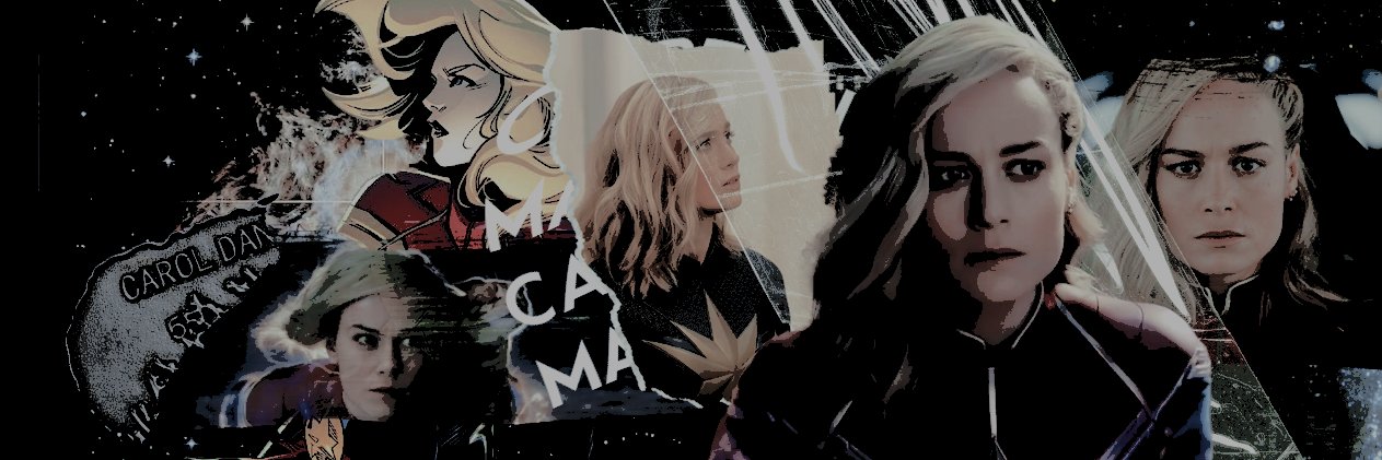 ᅠᅠ「 𝗠𝗦 𝗗𝗔𝗡𝗩𝗘𝗥𝗦 ៸៸'s banner