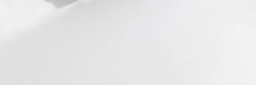 パウル🐙❤️ banner