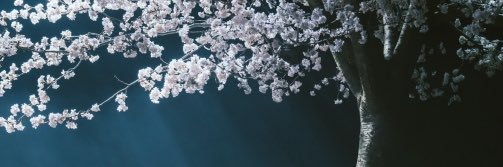 GPROMLoveGUNDAM's profile banner image
