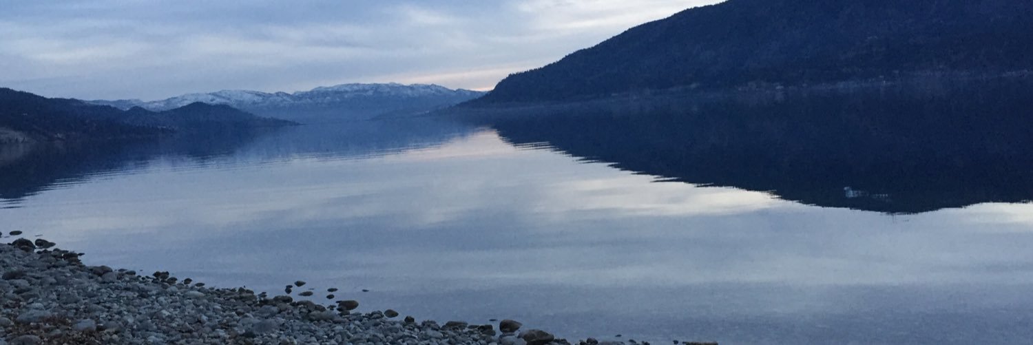 Heather Gainforth banner