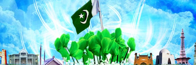 asadprivate's profile banner image