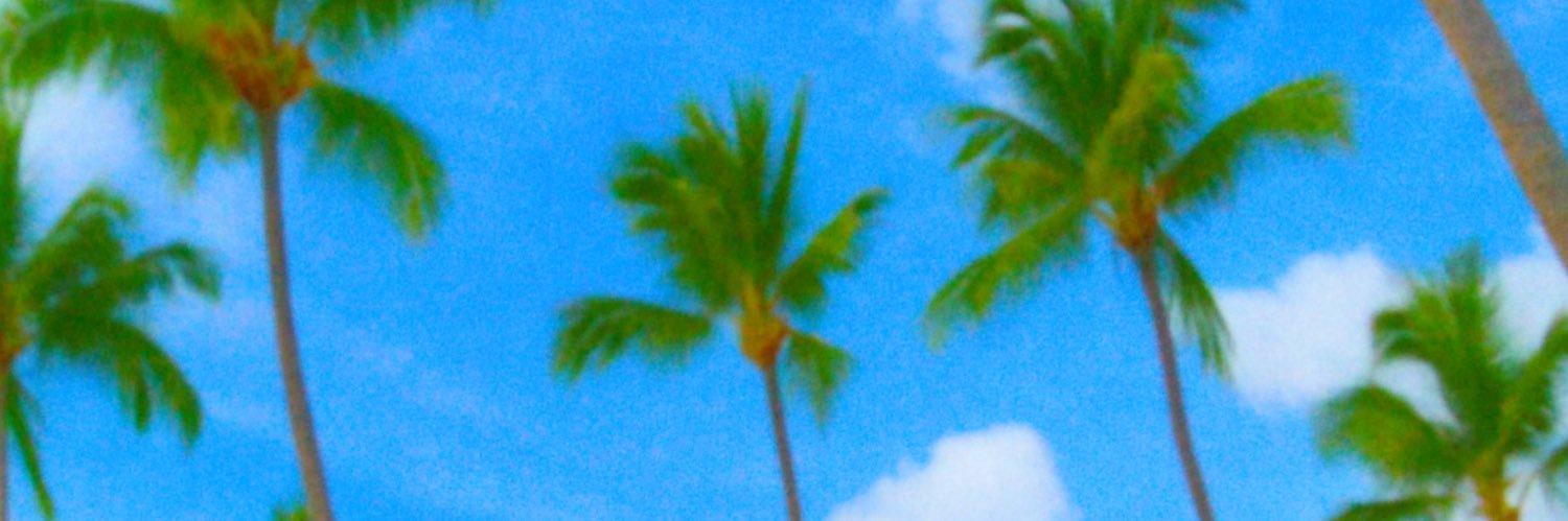 svou's profile banner image
