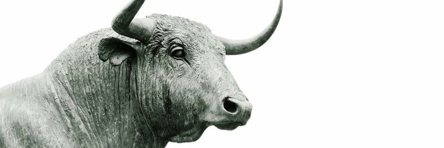 Bull32_'s profile banner image