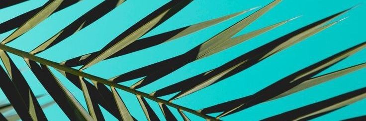 Maria banner