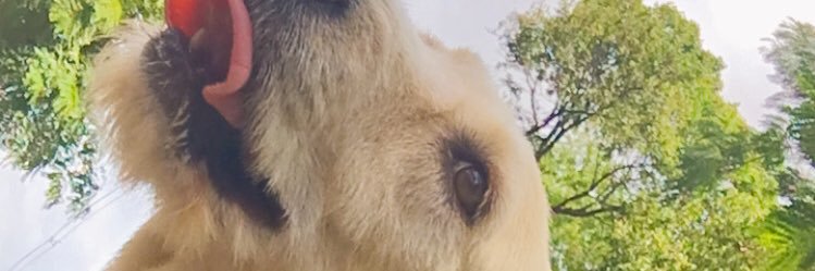 KarlosBorges's profile banner image