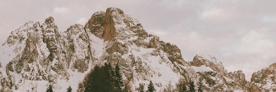 Dreaminadream_s's profile banner image