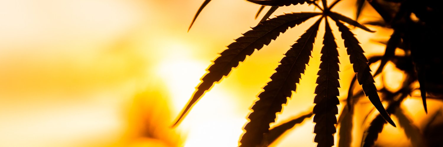 株式会社CANLIFE【公式】「私の綺麗は睡眠から！」 banner