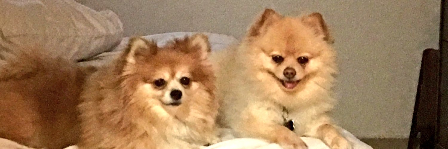 Irene Buchanan Smith banner