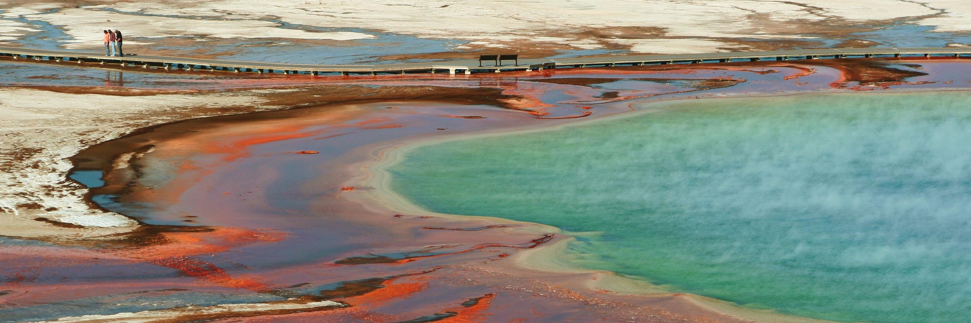 Edo-Jan Meijer banner