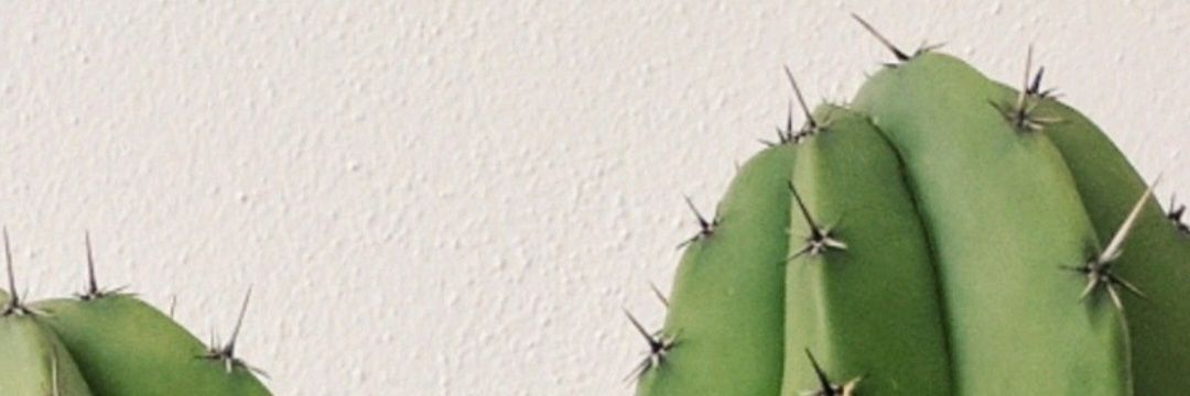 mychristieroad's profile banner image