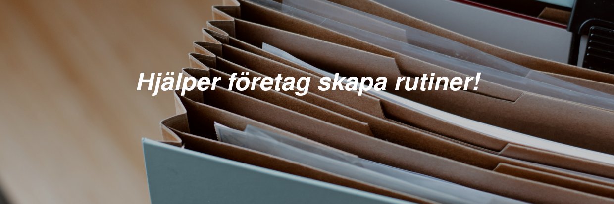 Falk Systematik banner