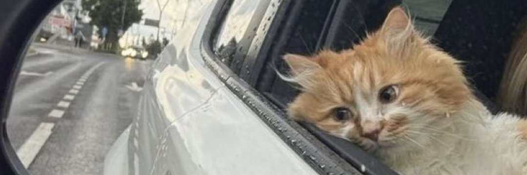 semactnkyy's profile banner image
