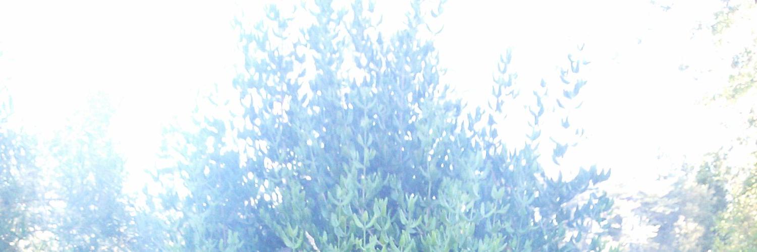 DiegoAlca's profile banner image