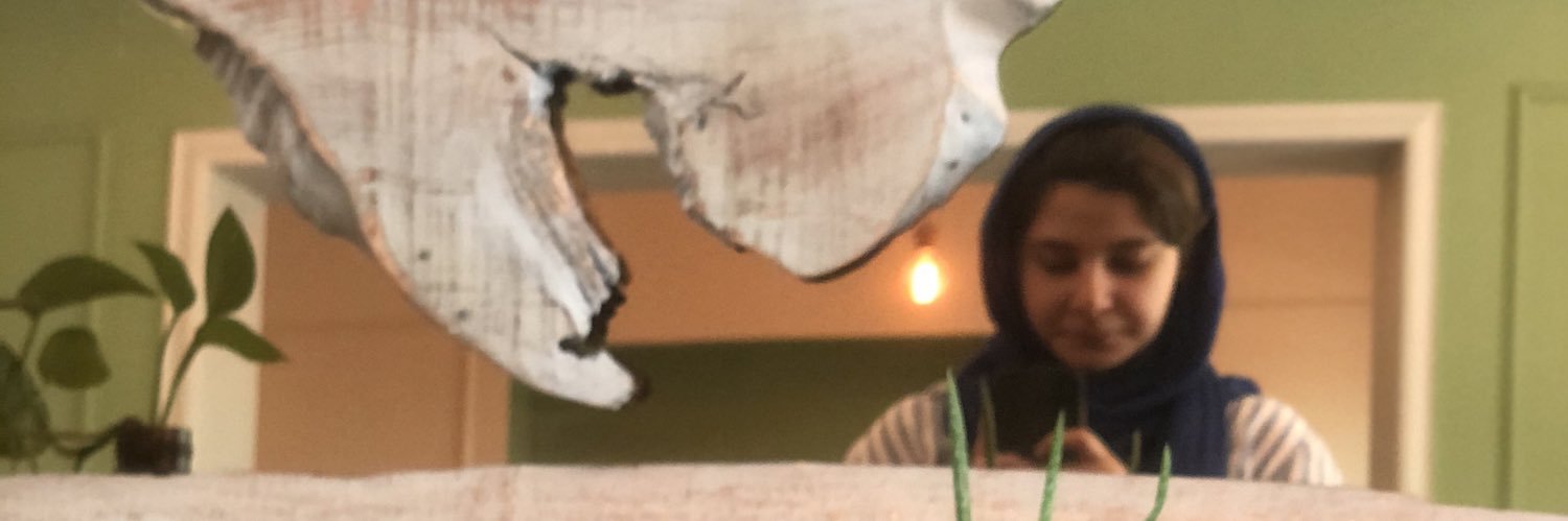 ZandiMim's profile banner image