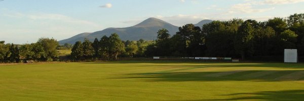 weedy50weedy Profile Banner