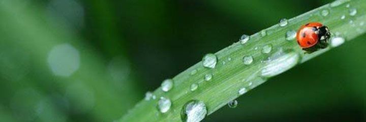 さとぴ東京 banner