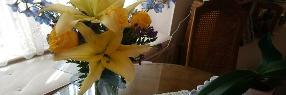 Carlene Havel banner