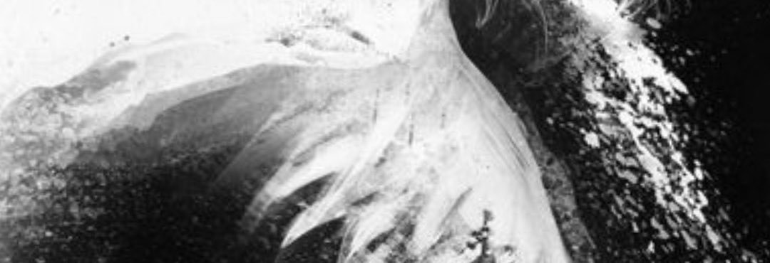 aisakasei's profile banner image