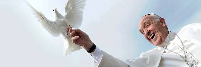 gpflow's profile banner image