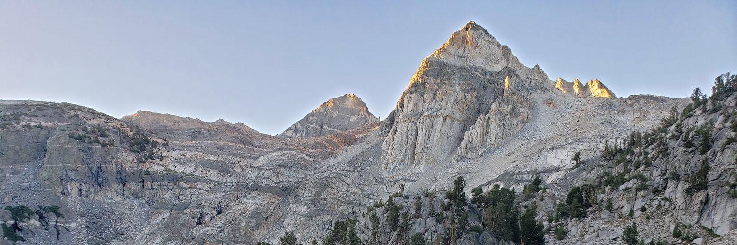 danice_brown's profile banner image
