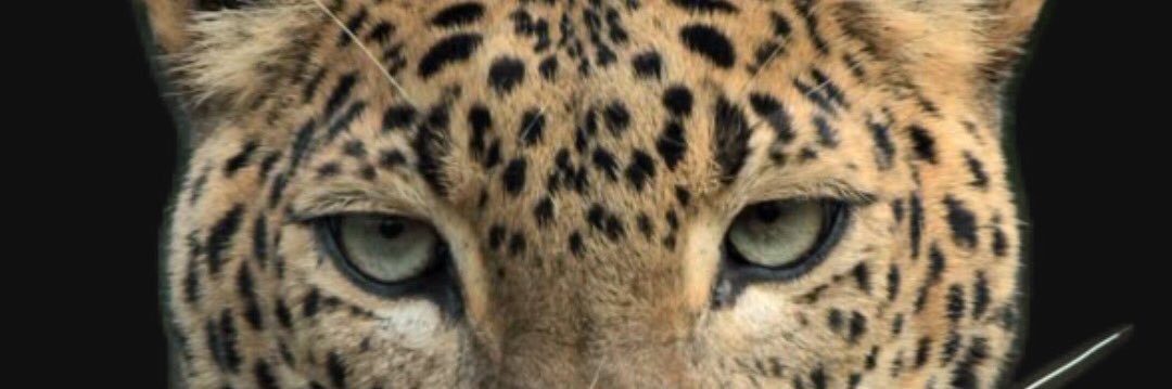 busrabrncoglu's profile banner image