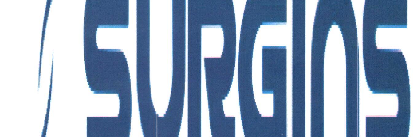 surgins's profile banner image