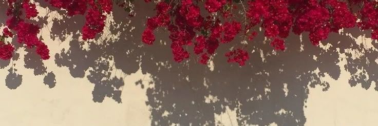 سُـلاف 🕊 banner